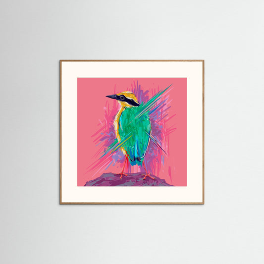 Bird Series Indian Pitta by Rohan Dahotre
