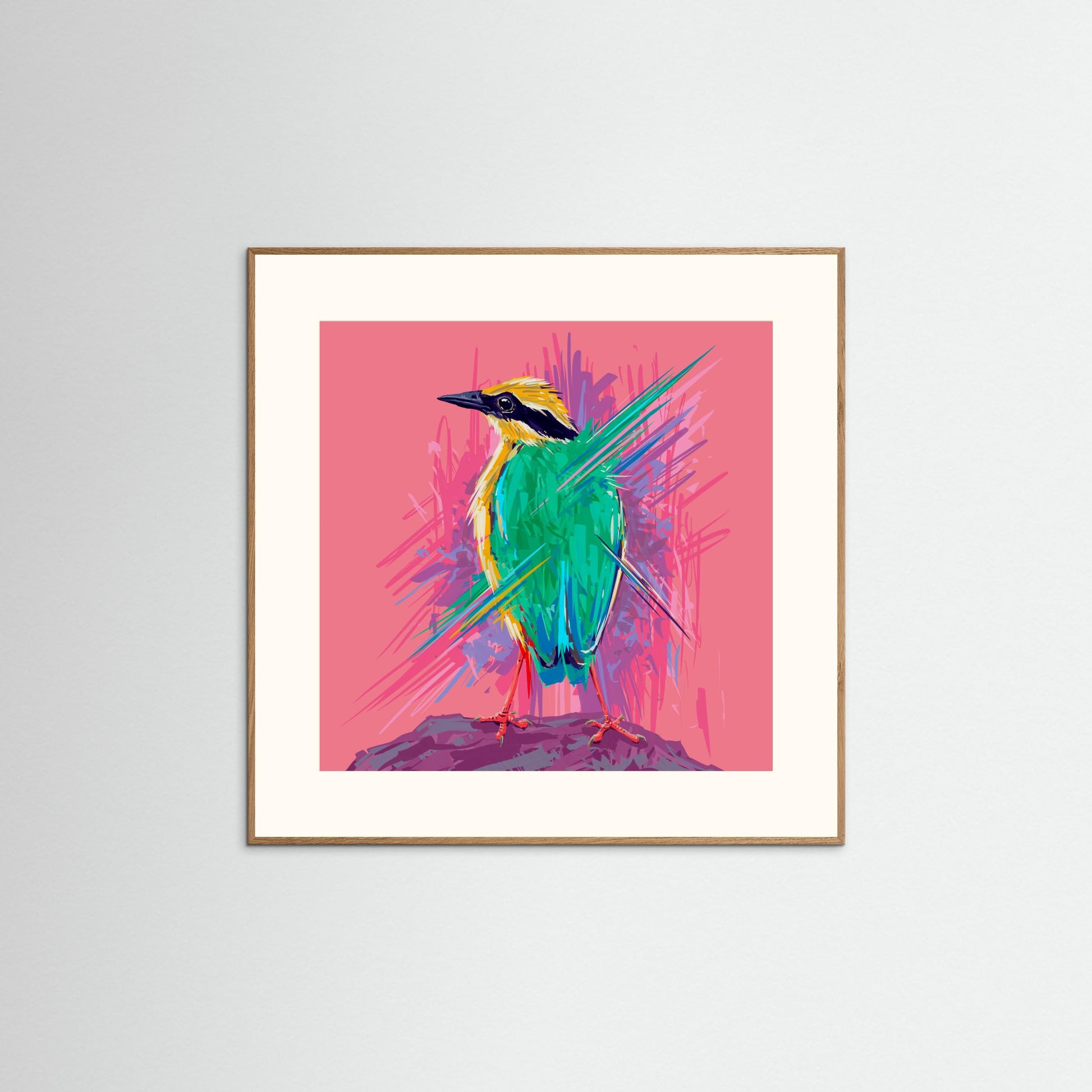 Bird Series   Indian Pitta by Rohan Dahotre