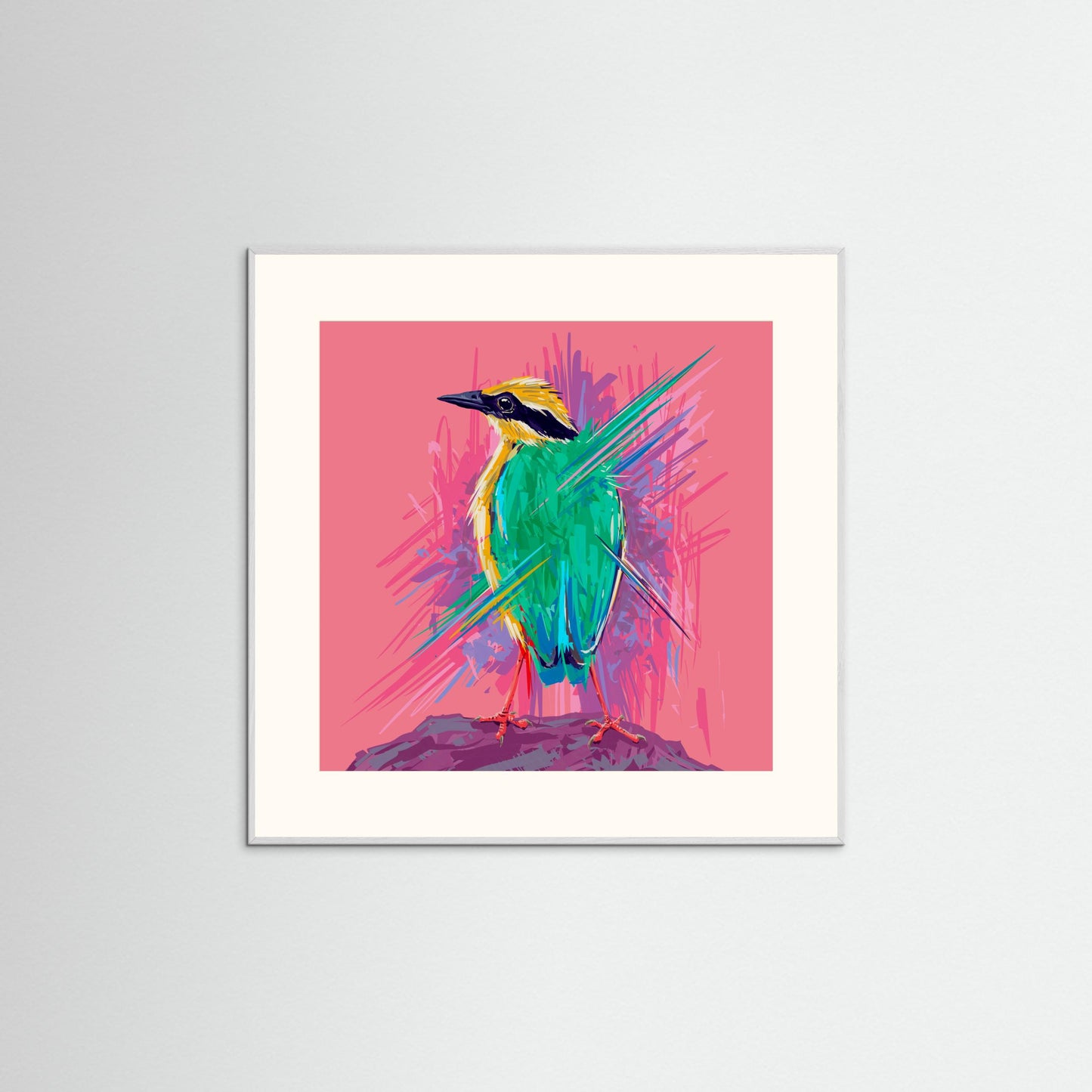 Bird Series   Indian Pitta by Rohan Dahotre